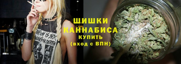 ГАЛЛЮЦИНОГЕННЫЕ ГРИБЫ Нягань