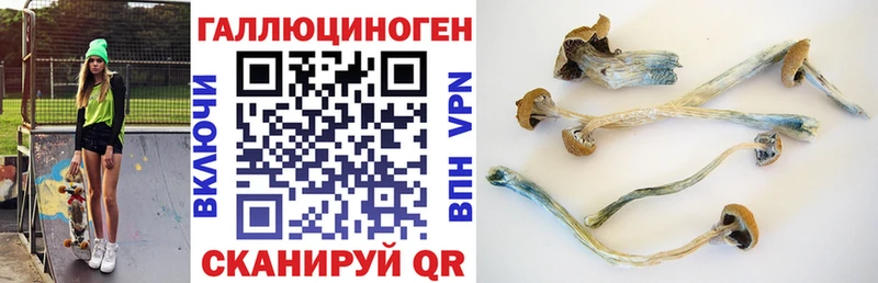 Галлюциногенные грибы мицелий  наркотики  ОМГ ОМГ вход  Южа 